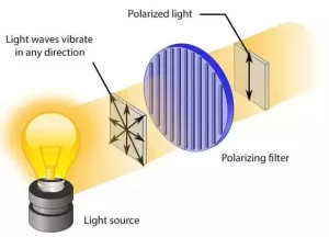 Polarized light